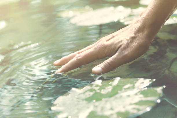 person berührt das wasser mit der hand - nature zen like stream water stock-fotos und bilder