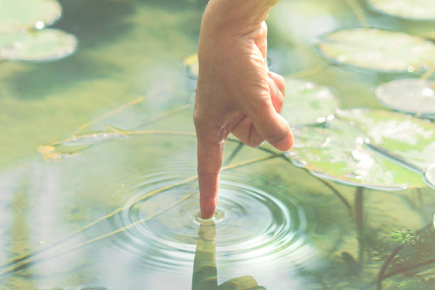 istock magical contact between man and nature 1072912922