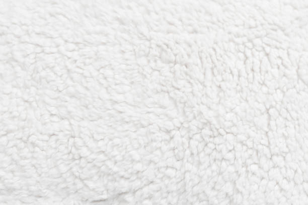 istock sheep hair or wool for background 1072913802