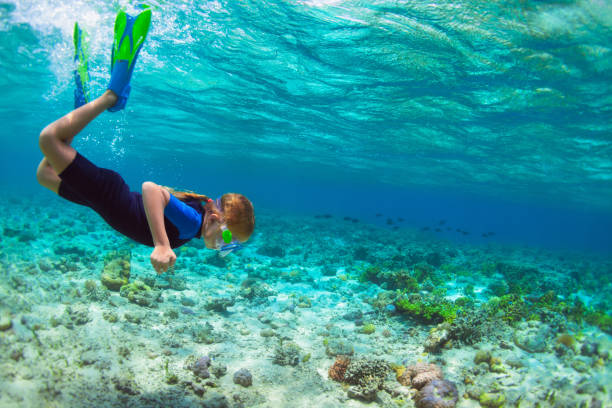 Child in snorkeling mask dive underwater in blue sea lagoon Happy little kid in snorkeling mask dive underwater with tropical fishes in coral reef sea lagoon. Family travel lifestyle in summer adventure camp. Swimming activities on beach holiday with children. scuba diving family stock pictures, royalty-free photos & images