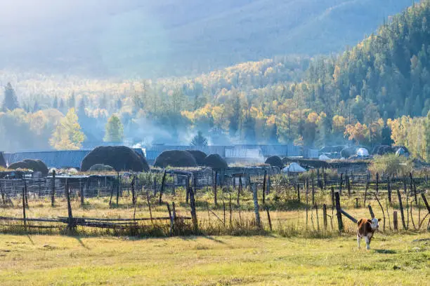 Photo of beautiful baihaba villages in the morning