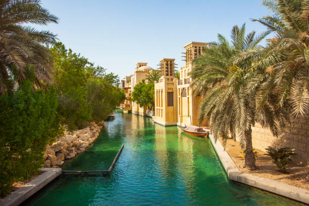 istock Dubai city view with palm trees 1072936148