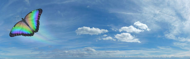 istock Beautiful Butterfly Up and Away on a Sunny Day 1072952882