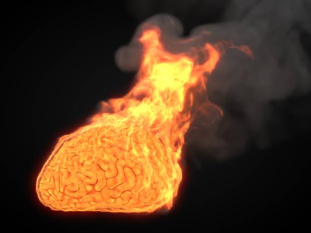 over heated by thinking. burning brain. 3d illustration over heated by thinking. burning brain. suitable for emotion, stress, philosophy and psychology themes. 3d illustration melting brain stock pictures, royalty-free photos & images