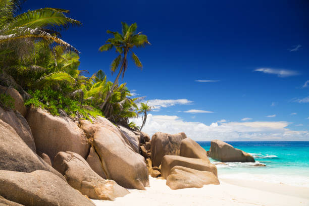 istock Tropical beach of Grande Soeur 1072968786