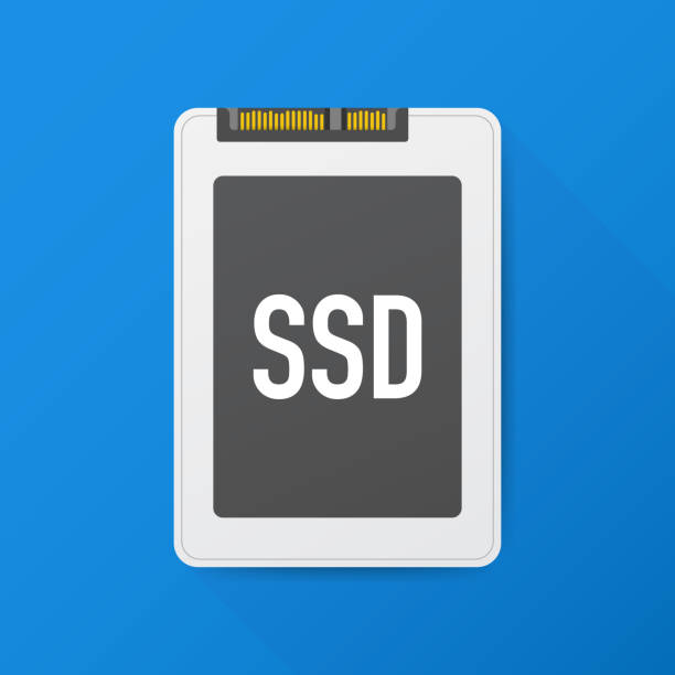 Solid State Drive, ssd polygon, computer device, hard disk. Vector illustration. Solid State Drive, ssd polygon, computer device, hard disk. Vector stock illustration. spatholobus suberectus dunn stock illustrations