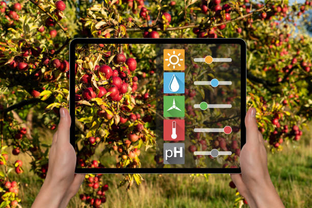 istock A farmer is holding a tablet on the background of a fruit tree 1072991738