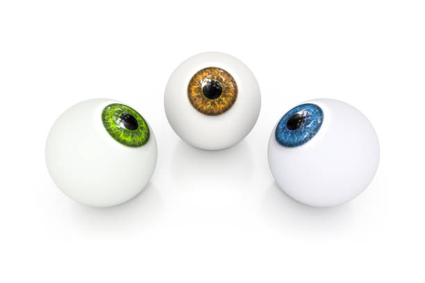 istock brown green and blue eyeball 1072993862
