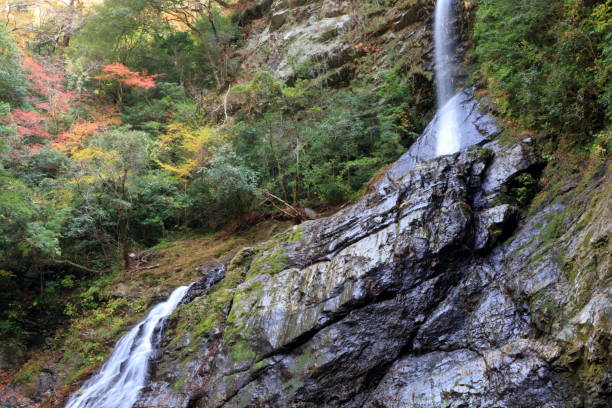 istock Yasui Valley Flying dragon waterfall (Kochi) 1072999770