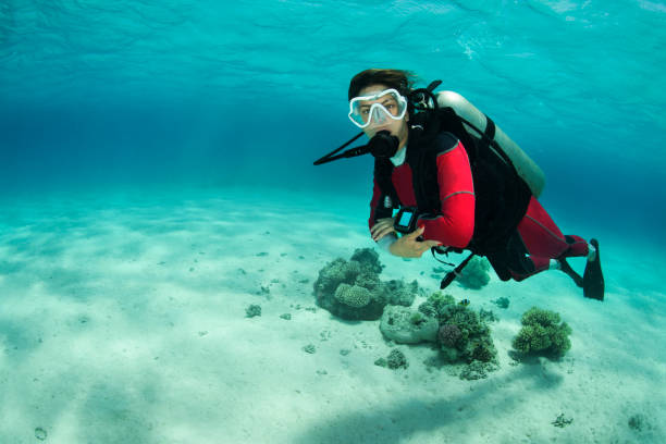 istock Female scuba diver diving in shallow waters 1072999998