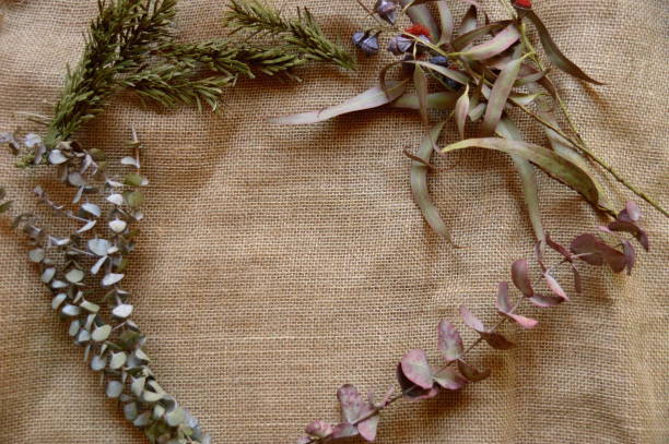 istock Winter flowers: fir, eucalyptus gunny, eucalyptus baby and eucalyptus globulus 1073012924