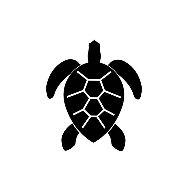 The turtle icon on a white background The turtle icon on a white background sea turtle clipart stock illustrations