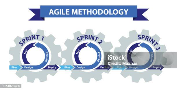 Agile Software Development Methodology Stock Illustration - Download Image Now - Agile Methodology, Sprint, Organization