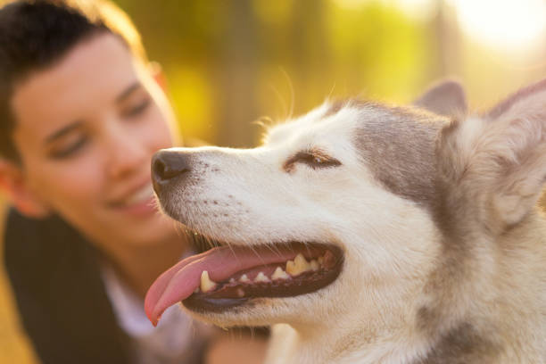 istock Smiling woman having fun with her siberian husky 1073021160