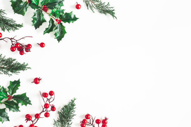 istock Christmas composition. Frame made of christmas plants on white background. Flat lay, top view, copy space 1073021452