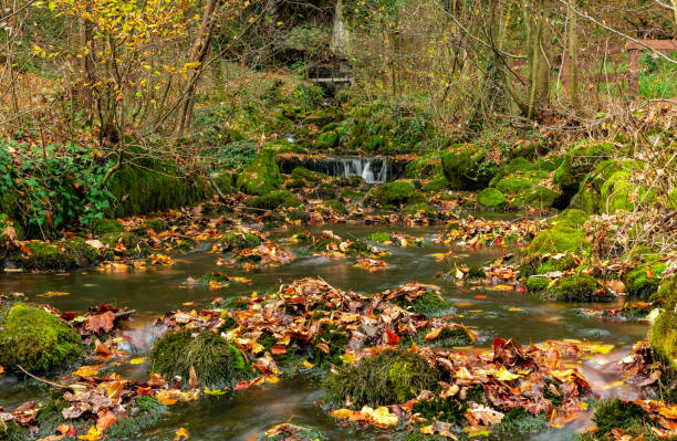 istock Silky river in the forest early autumn 1073027688