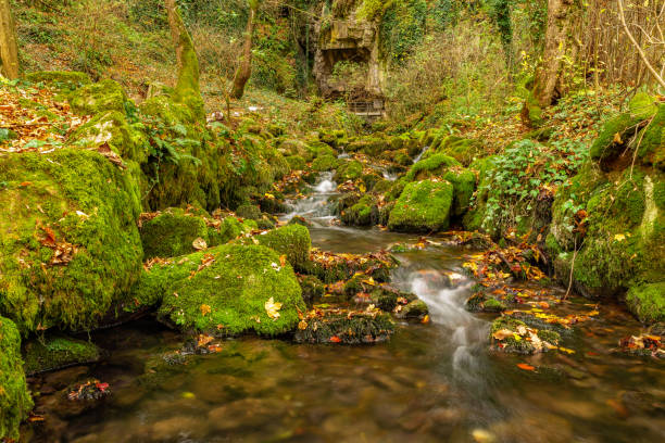 istock Silky river in the forest early autumn 1073029020