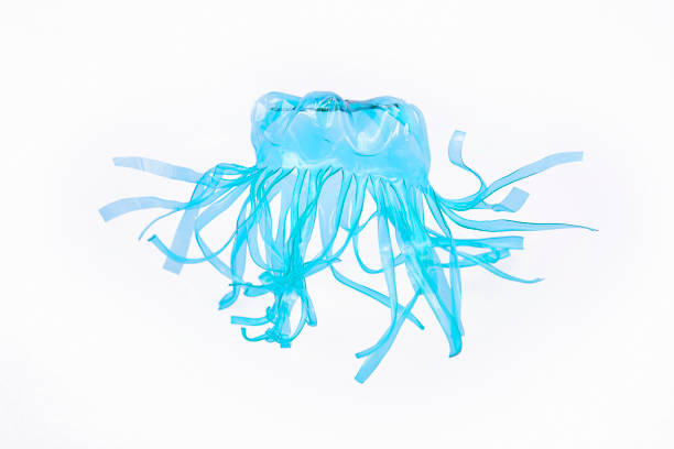 istock Plastic bottle recycled in a jellyfish figure. Reuse garbage. 1073033962