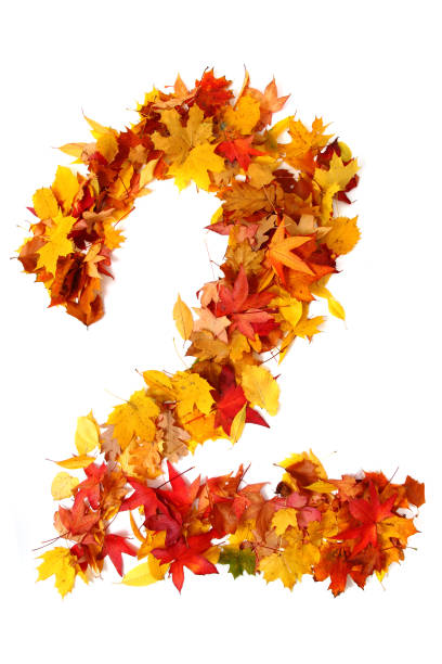 istock alphabet sign from autumn leaf 1073034598
