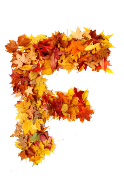 istock alphabet sign from autumn leaf 1073034666