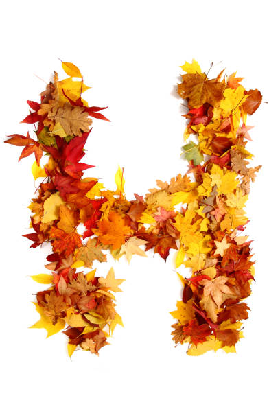istock alphabet sign from autumn leaf 1073034690