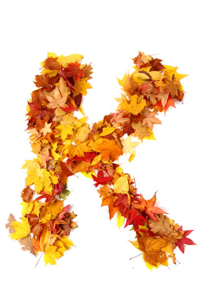 istock alphabet sign from autumn leaf 1073034730