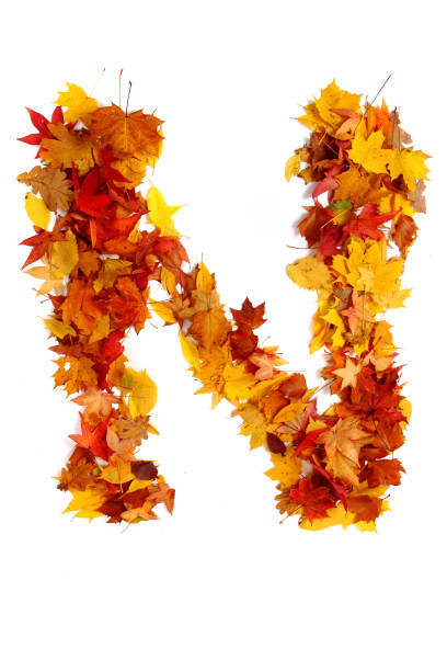 istock alphabet sign from autumn leaf 1073034820