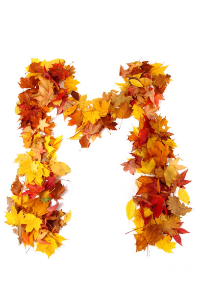istock alphabet sign from autumn leaf 1073034824