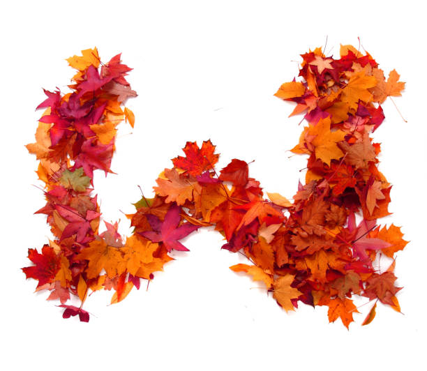 istock alphabet sign from autumn leaf 1073035552