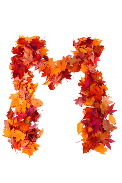 istock alphabet sign from autumn leaf 1073035734