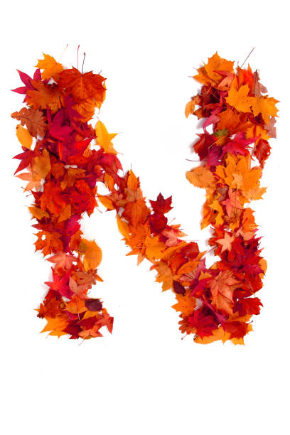 istock alphabet sign from autumn leaf 1073035860
