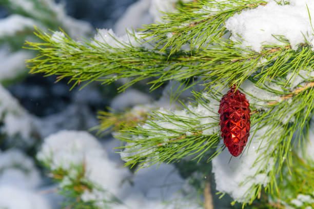 istock Christmas toys on a snow-covered pine branch 1073044712