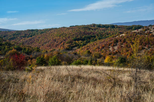 istock Mountain landscape woods,hills, clouds and sky, Serbia 1073047076