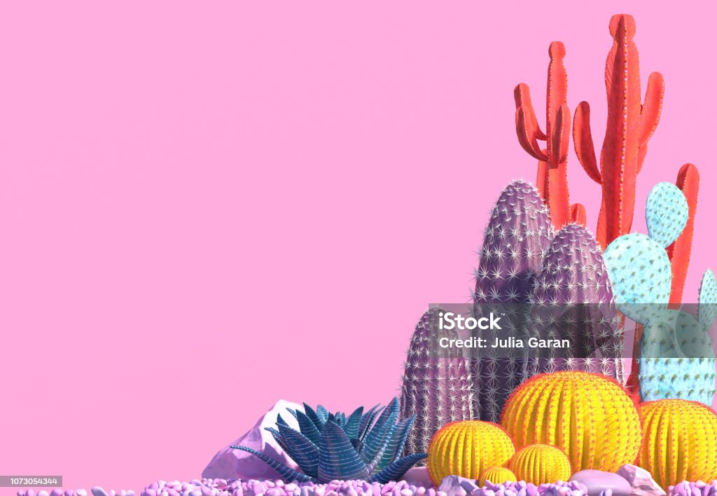 Composición Decorativa De Grupos De Diferentes Especies De Cactus  Multicoloras Sobre Fondo Rosa Foto de stock y más banco de imágenes de  Tridimensional - iStock