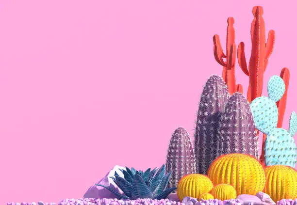 Photo of Decorative composition of groups of different species of multicolored cacti on pink background.