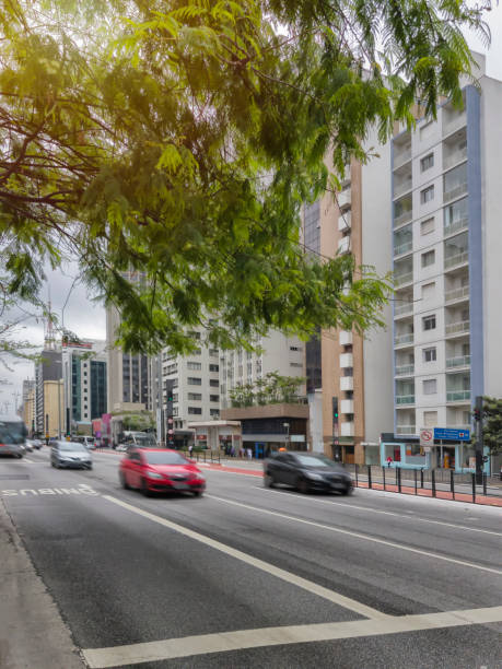 istock Paulista Avenue 1073061086