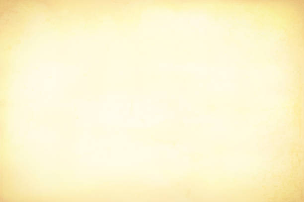 istock Old yellowed cream beige colored stained wooden, wall texture grunge vector background- horizontal - Illustration. Artist canvas 1073066702