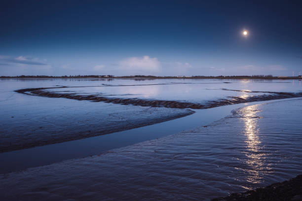 Wadden sea under moonlight stock photo