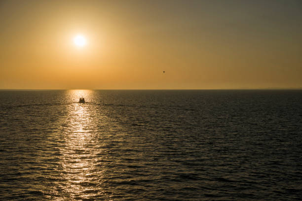 Silhouette of motorboat driving into rising sun. Reflections of sunlight on water surface. Seagull in the sky. North Sea near Wangerooge Island, Friesland - district, Lower Saxony, Germany, Europe.
