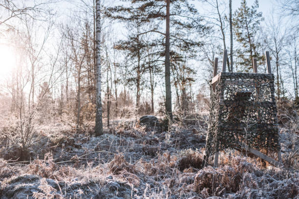 Frosty winter morning landscape with hunting tower\nPhoto taken in cold sunlight