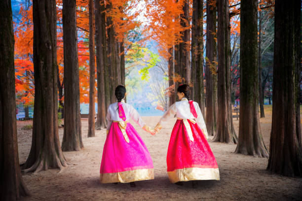 Korean girl walking in nami park in nami island Korean girl walking in nami park in nami island, seoul, South korea korea autumn stock pictures, royalty-free photos & images