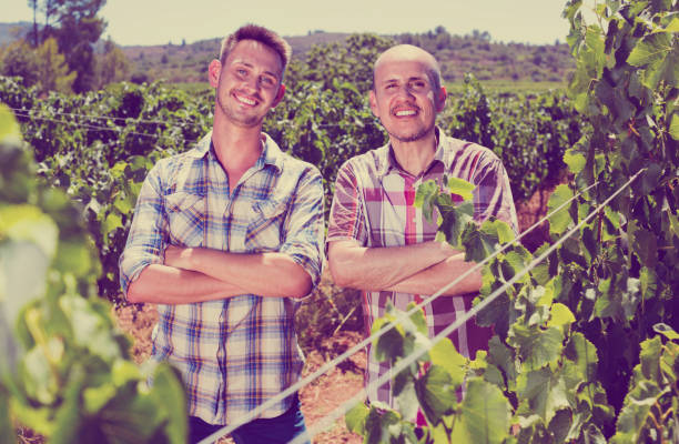 istock Two  gardeners standing together in grapes tree yard 1073081642