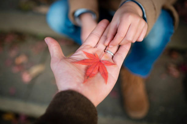 Parent and child playing with autumn leaves