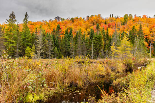 istock Falls vibrant colors, cottage country, Quebec, Canada. 1073087092