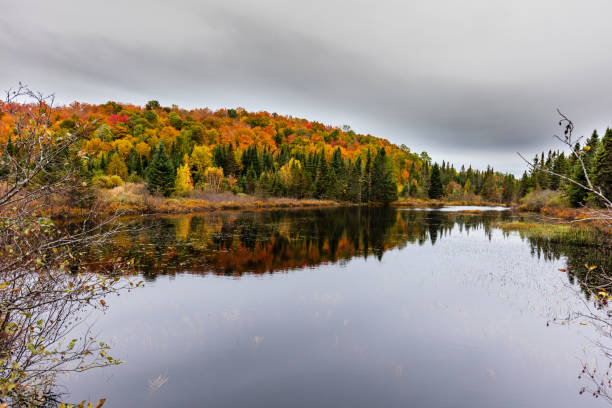 istock Falls vibrant colors, cottage country, Quebec, Canada. 1073089190