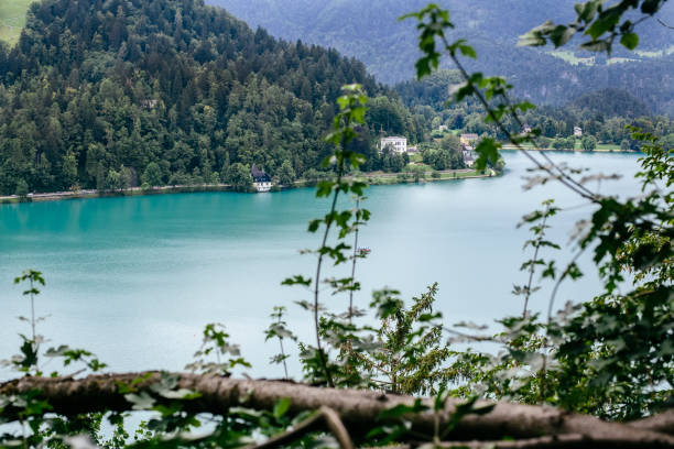 istock Lake Bled in Slovenia 1073089536