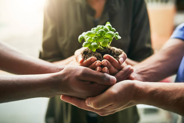 istock The potential for growth is great when we stand together 1073090384