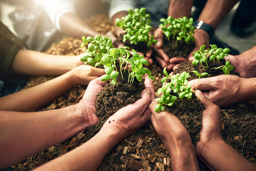 High angle shot of a group of unrecognizable people holding plants growing in soil