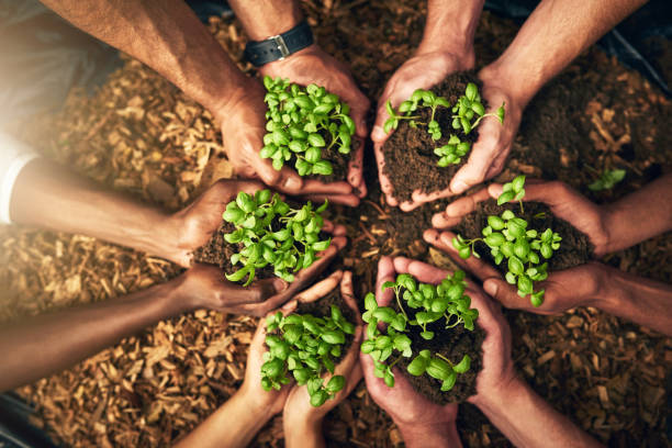istock Growing it from the ground out 1073090390