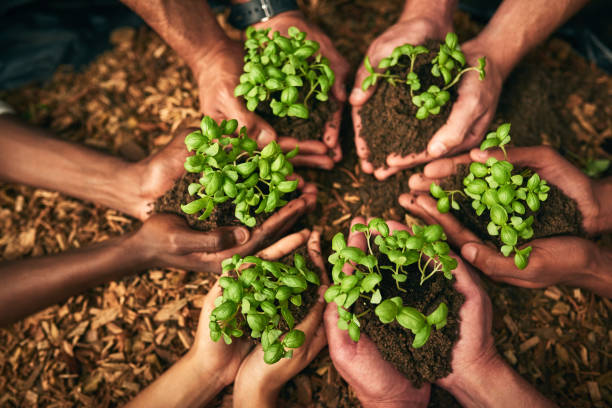 istock Holding growth in the palms of their hands 1073090396